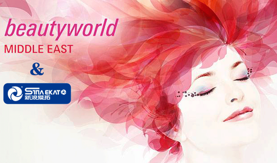 新浪愛拓 新浪愛拓